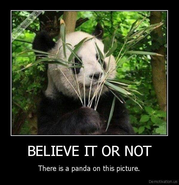 ninja panda - meme
