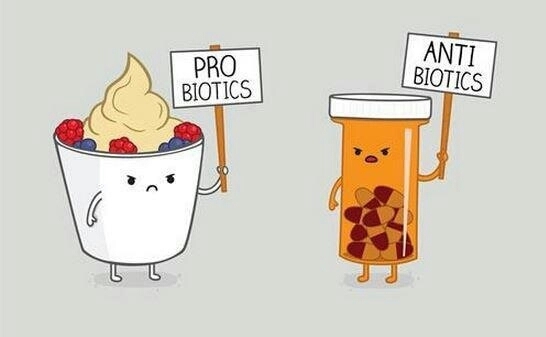 I like pro-biotics - meme