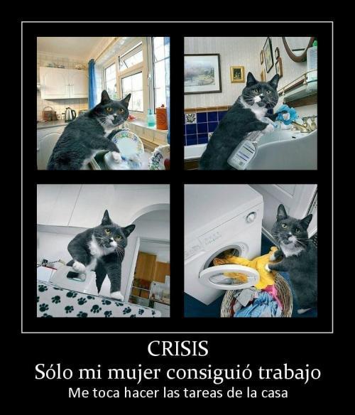 CRISIS - meme