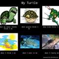 who likes turtles