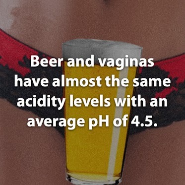 Beer....or.......Vagina? - meme