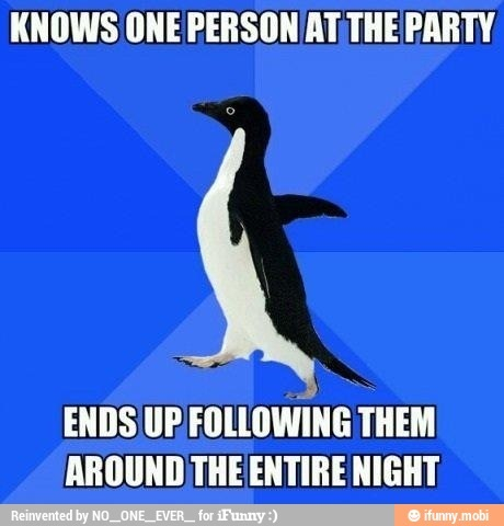 Party problems - meme