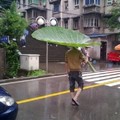 Paraguas original