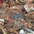 found in the debris of the tornado