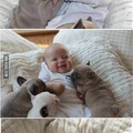 puppies: a baby's best friend