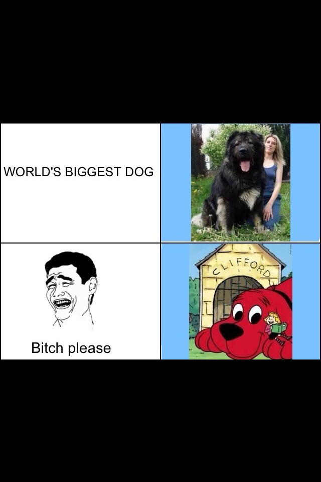 Biggest dog  - meme