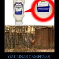 Gallinas Camper