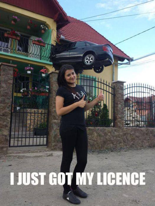 license - meme