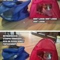 Nice tent