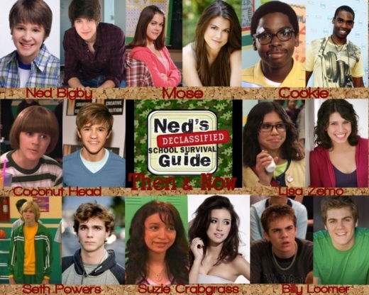 neds declassified then and now
