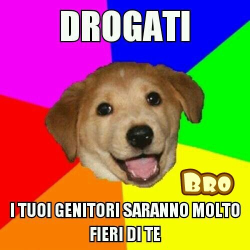 DrogoDog - meme