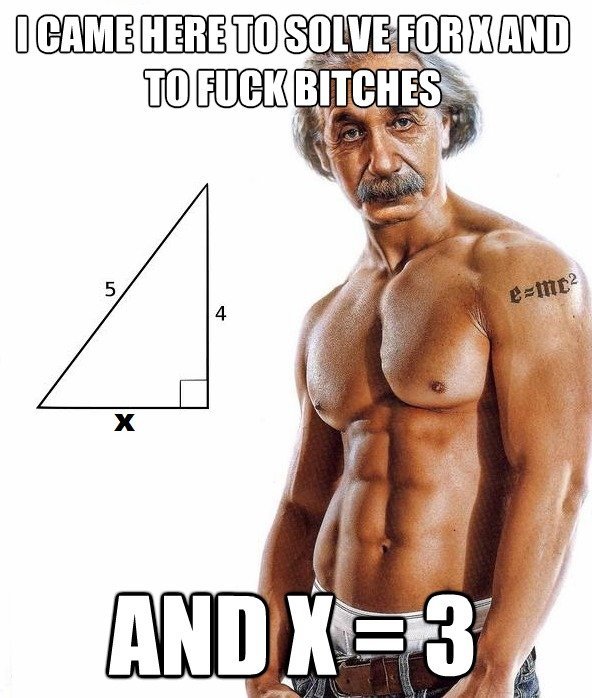 Pythagorean Theorem Bitch - meme