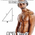Pythagorean Theorem Bitch