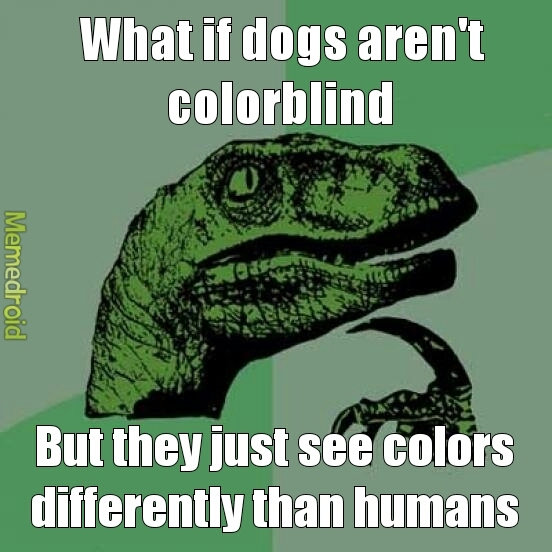 colorblind - meme