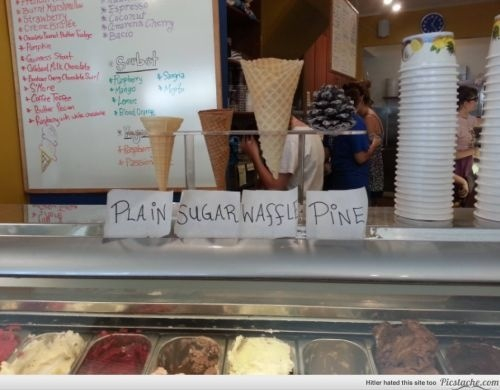 Ice Cream Shop Humor - meme