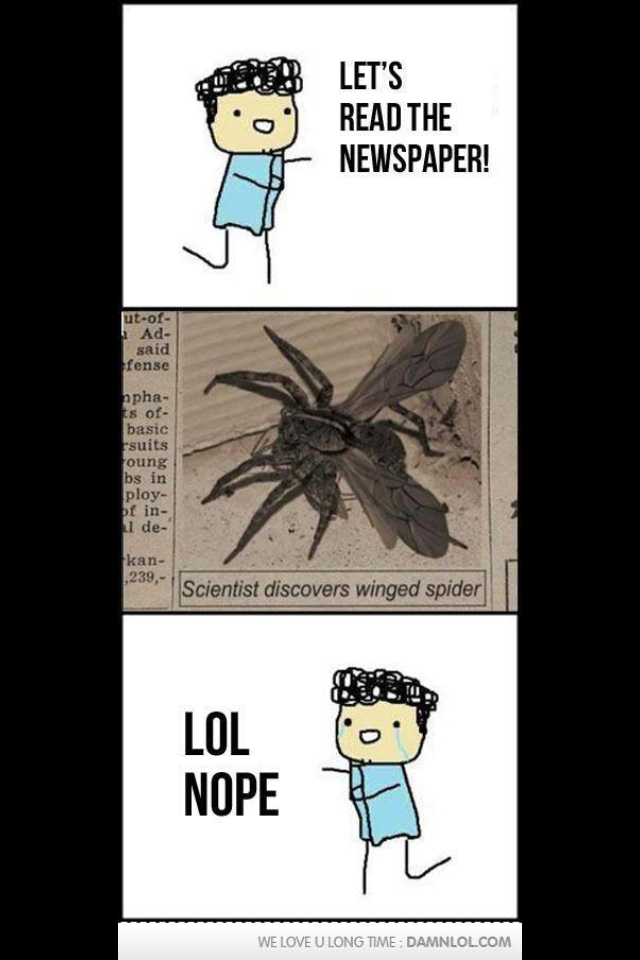 Spiders scare me.  - meme
