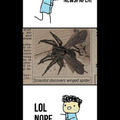 Spiders scare me. 