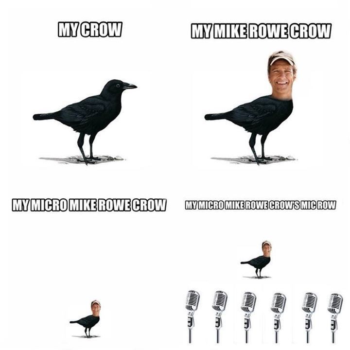 mike crow - meme