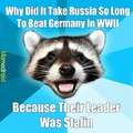Stalin Kicked Hitler's Ass