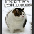 Mr. Fat cat ^__^