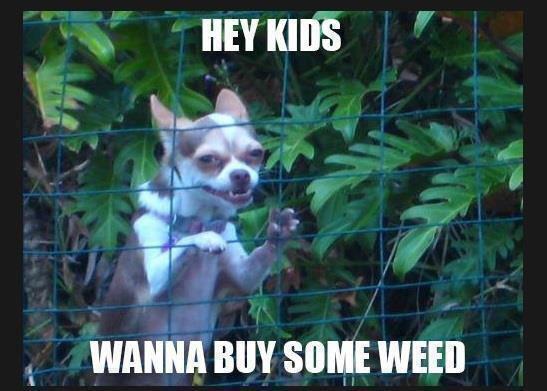 exactly. - meme