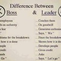 Boss & Leader