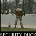 security duck