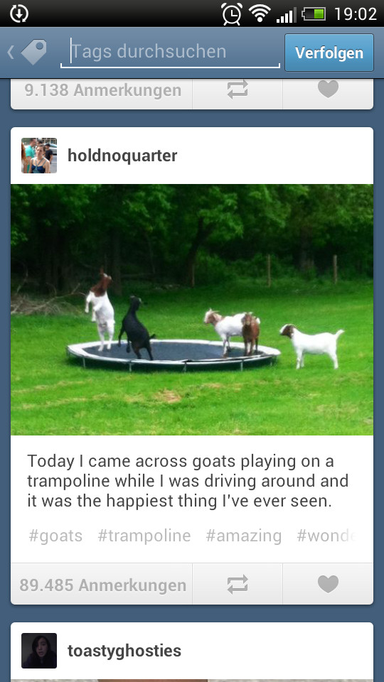 Happy goats, or what? - meme
