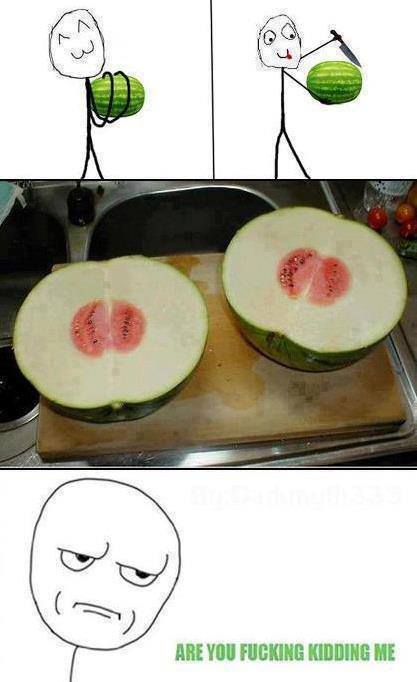 watermelon - meme