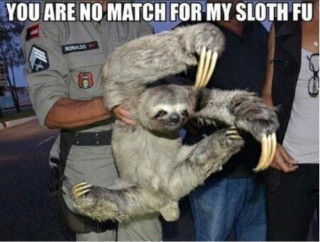 sloth fu! - meme