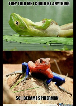 spider frog - meme