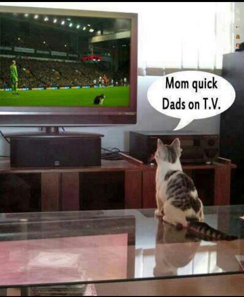 quick!!! - meme