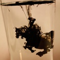 Just add water....Instant
seahorse!