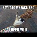 i deer you to comment this