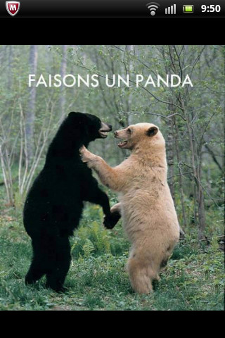 Un panda :) - meme
