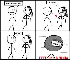 Fell like a ninja  - meme