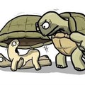 Cheating Turtle