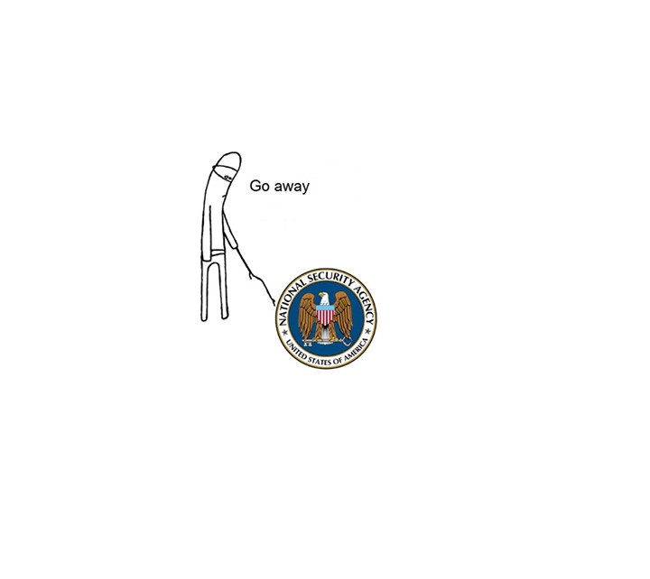 Damn you NSA! - meme