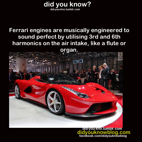 Ferrari sings - meme
