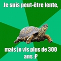 La vie des tortues