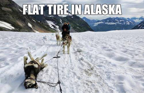 Alaska - meme