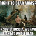 all the bear!