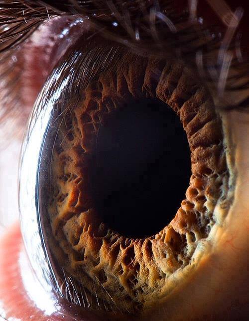 a high definition of human eye close up - meme