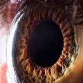a high definition of human eye close up