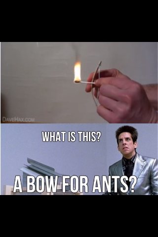 A bow for ants?  - meme