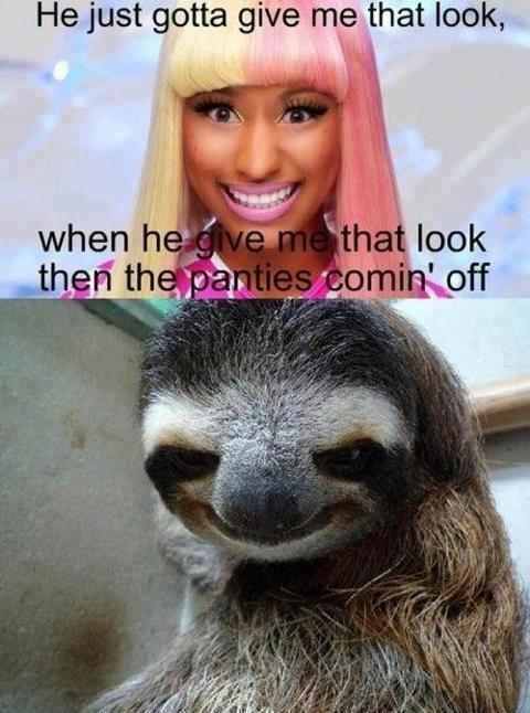 Theres a sloth in my booty - meme