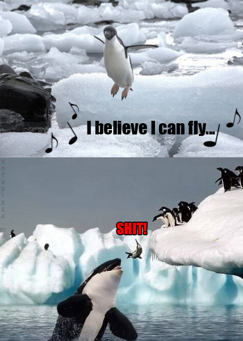 Penguin Logic - meme