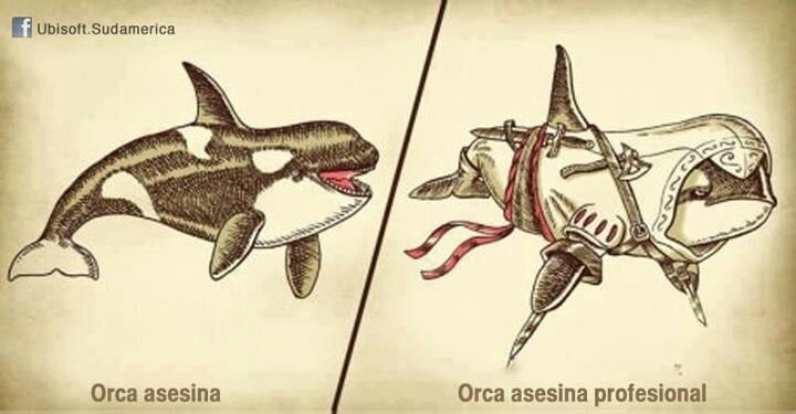 Orca asesina (Saludos a la maggo y a david olveraca) - meme