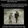 Man's best friend for over 26000 years