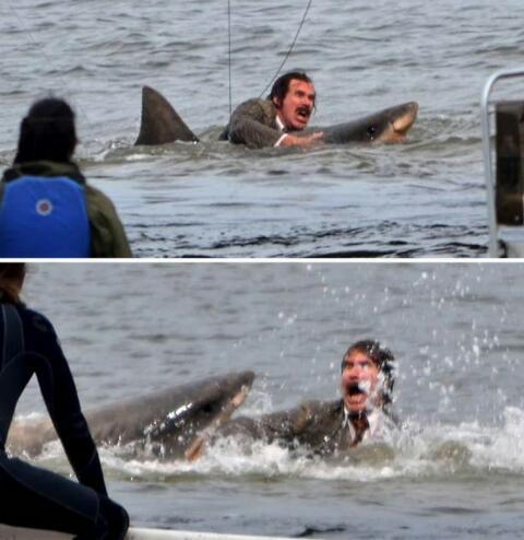 Ron Burgundy fighting a shark - meme